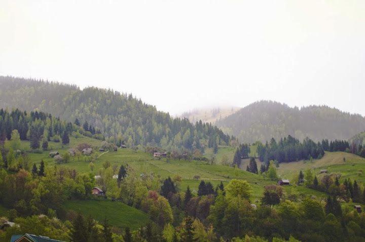 Будинок в пейзажній місцевості Krivorovnya Экстерьер фото