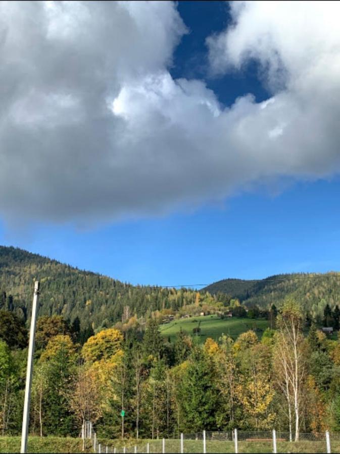Будинок в пейзажній місцевості Krivorovnya Экстерьер фото