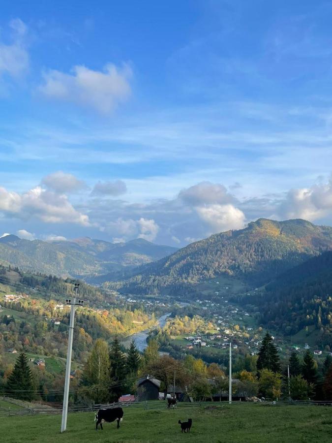 Будинок в пейзажній місцевості Krivorovnya Экстерьер фото
