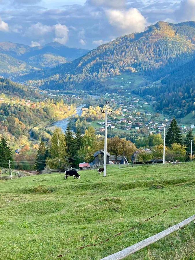 Будинок в пейзажній місцевості Krivorovnya Экстерьер фото