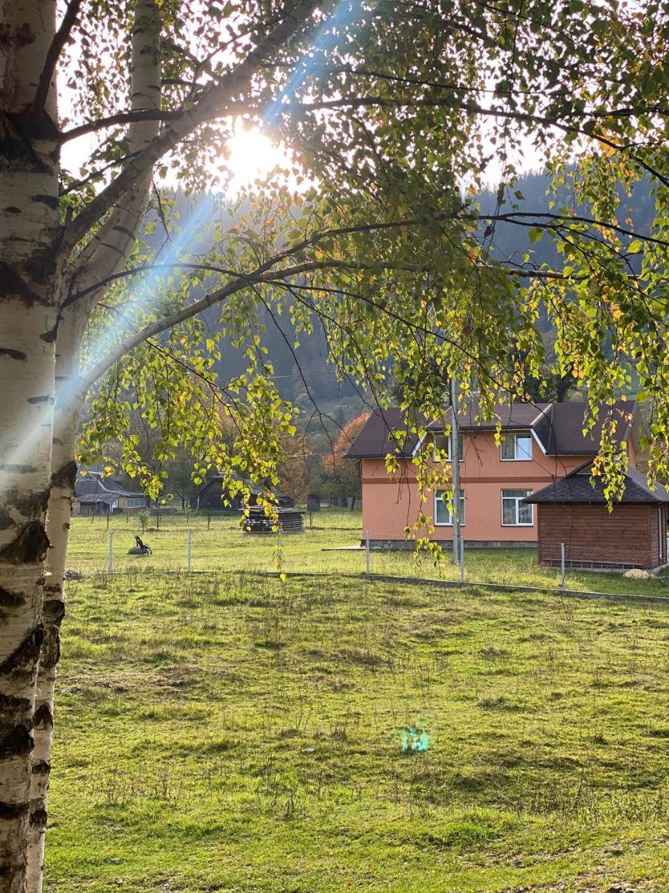 Будинок в пейзажній місцевості Krivorovnya Экстерьер фото