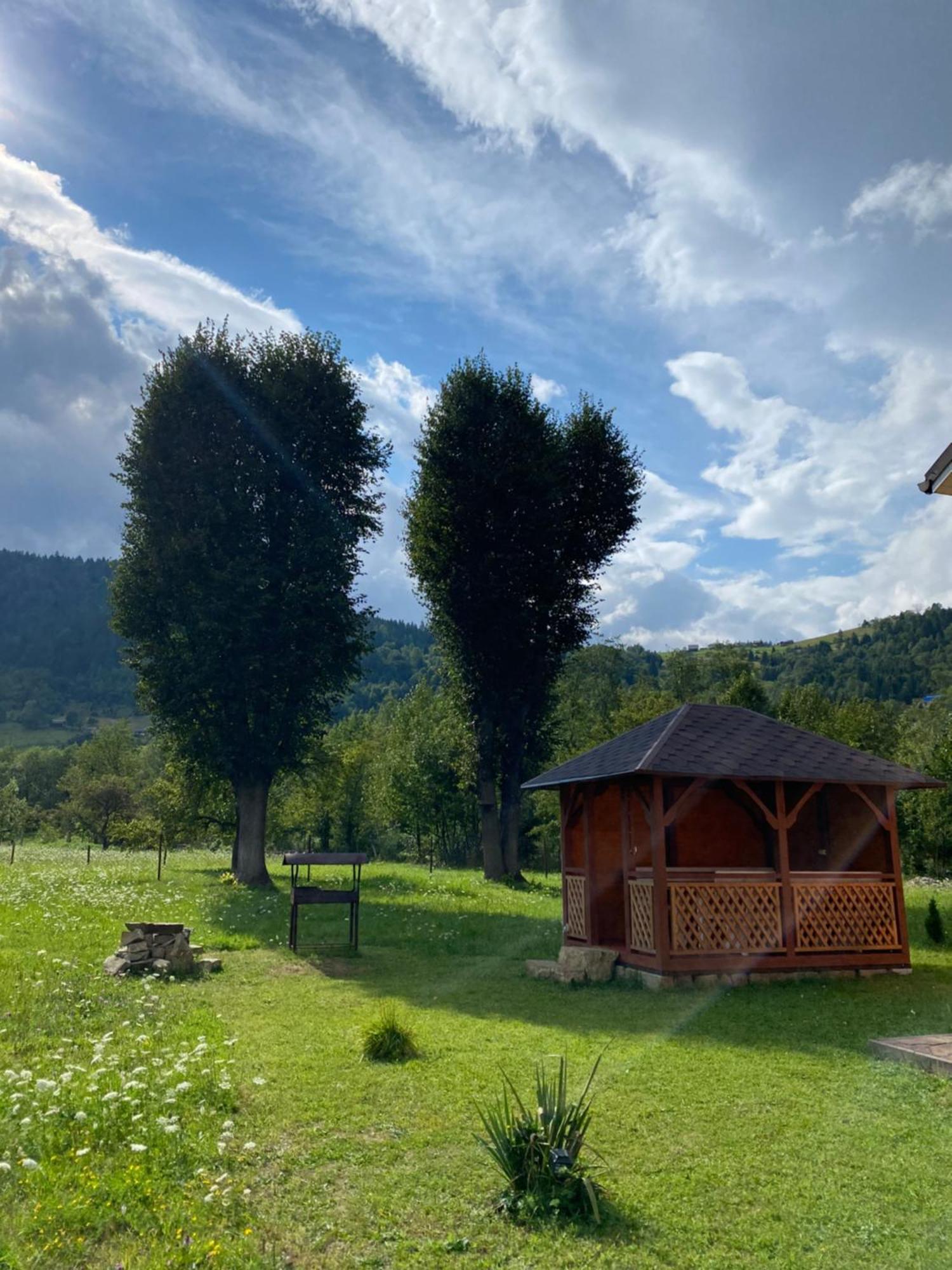 Будинок в пейзажній місцевості Krivorovnya Экстерьер фото