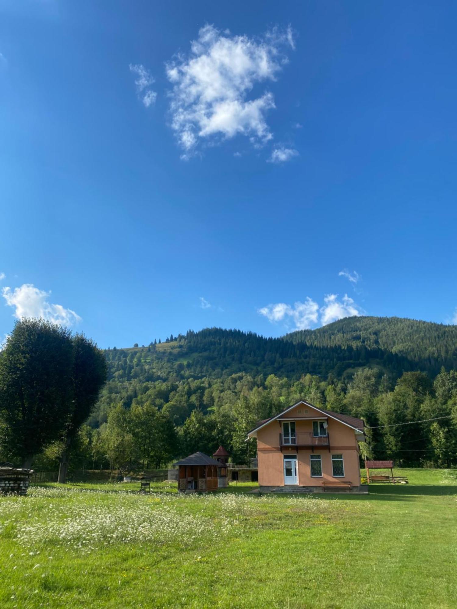 Будинок в пейзажній місцевості Krivorovnya Экстерьер фото